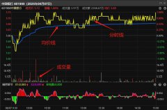  第4课：什么是股票的分时图？怎么看？